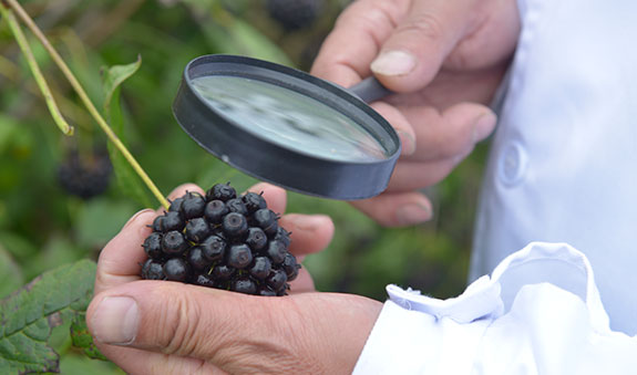 欧博ABG·[中国]官方网站
