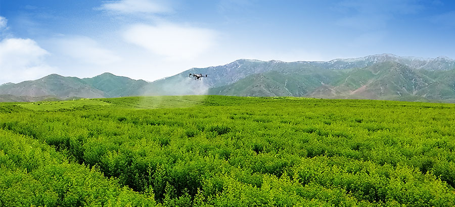 欧博ABG·[中国]官方网站